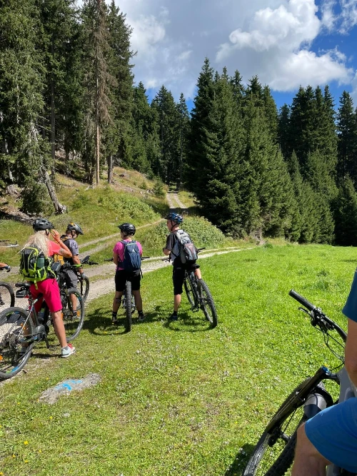 gemeinsam untegs