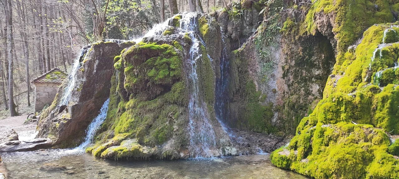 Naturerlebnis bei einer Bike-Tour auf der Schwäbischen Alb